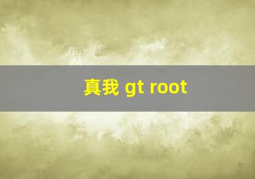 真我 gt root